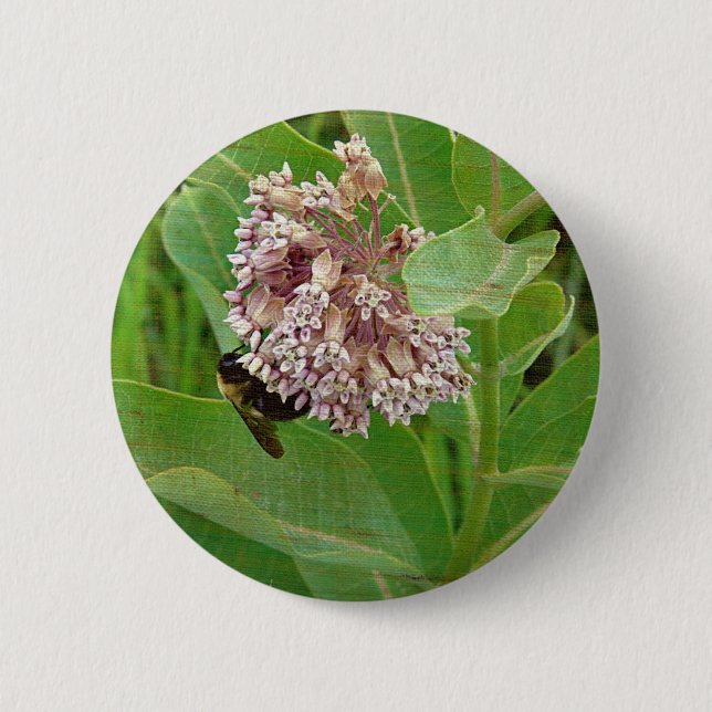 Badge Rond 5 Cm L'abeille bourdrée sur l'algue (Devant)