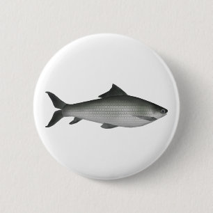 Badge Rond 5 Cm Labeo commun