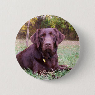 Badge Rond 5 Cm Laboratoire de chocolat
