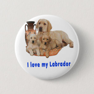 Badge Rond 5 Cm Labrador Retriever