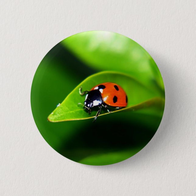 Badge Rond 5 Cm Ladybug (Devant)