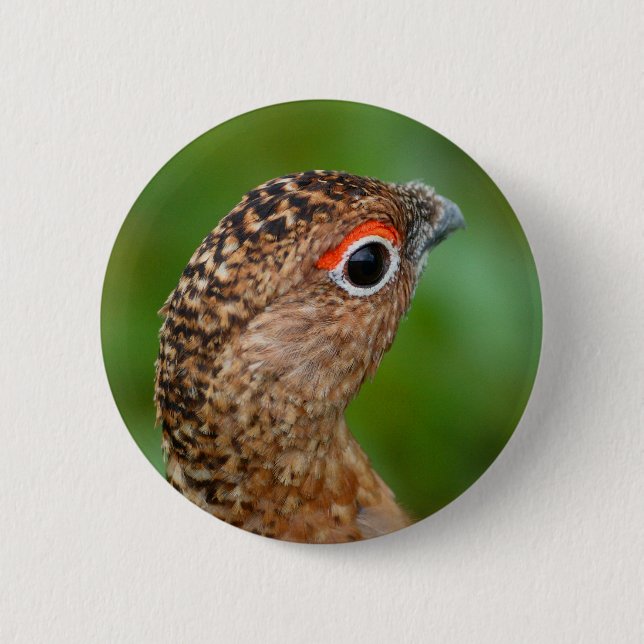 Badge Rond 5 Cm lagopède alpin (Devant)