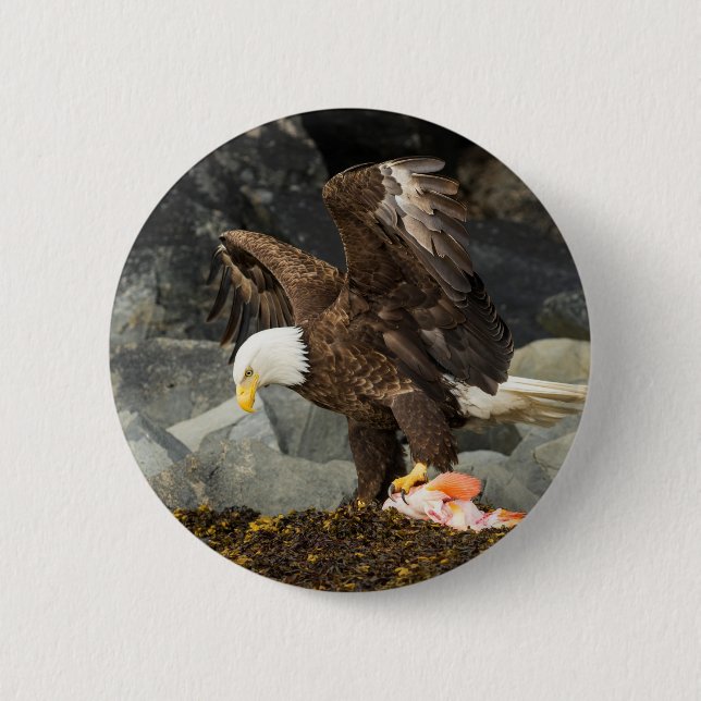 Badge Rond 5 Cm L'aigle chauve ultime (Devant)