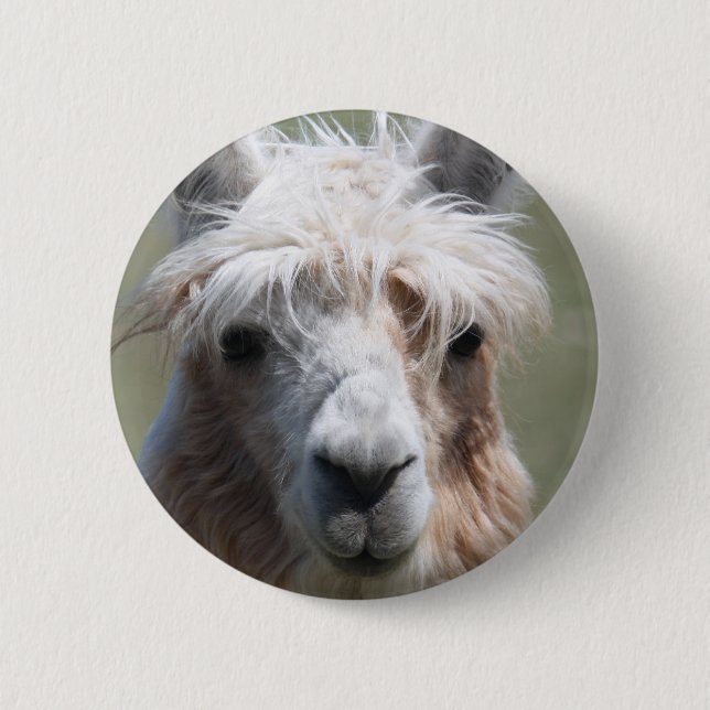 Badge Rond 5 Cm Lama (Devant)