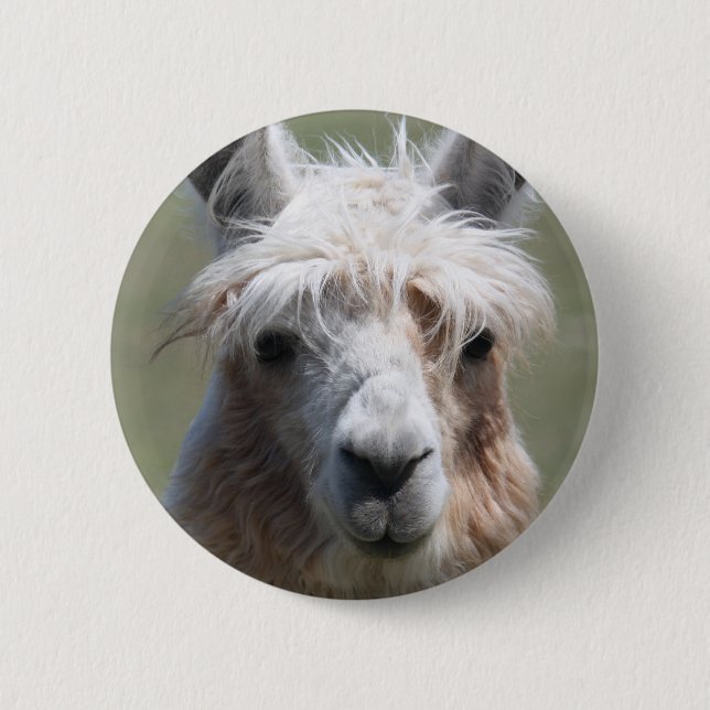 Badge Rond 5 Cm Lama (Devant)