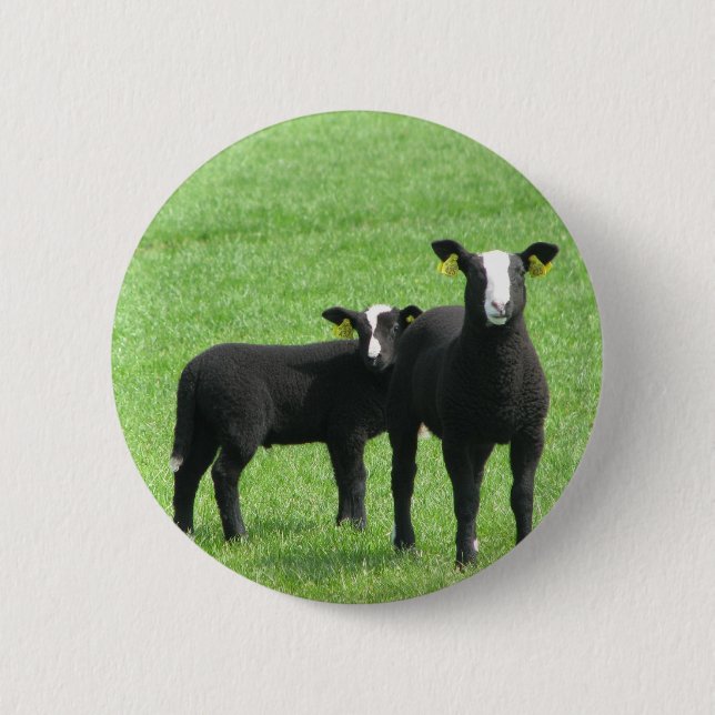 Badge Rond 5 Cm Lampes (Devant)