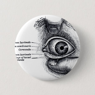 Badge Rond 5 Cm L'anatomie du gris - globe oculaire