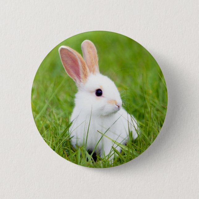 Badge Rond 5 Cm Lapin blanc (Devant)
