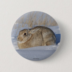 Badge Rond 5 Cm Lapin Cottontail R5 dans la neige