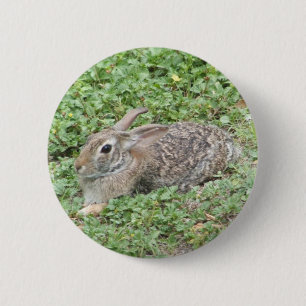 Badge Rond 5 Cm Lapin de lapin