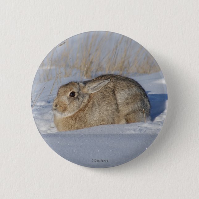 Badge Rond 5 Cm Lapin de lapin R5 dans la neige (Devant)