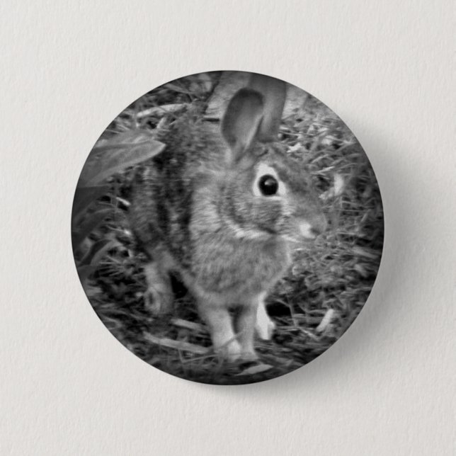 Badge Rond 5 Cm Lapin de Peter (Devant)