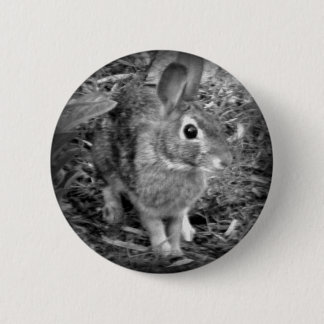 Badge Rond 5 Cm Lapin de Peter