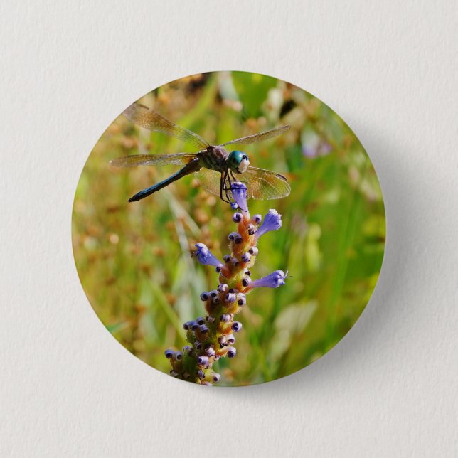 Badge Rond 5 Cm Lavande (Devant)