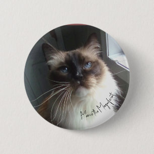 Badge Rond 5 Cm Le bouton en forme de chat présente Marco le Magni