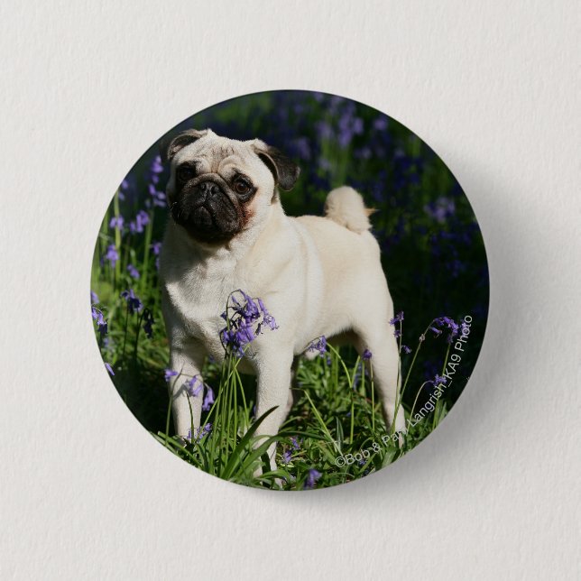 Badge Rond 5 Cm Le Carlin de l'homme debout dans les cloches bleue (Devant)