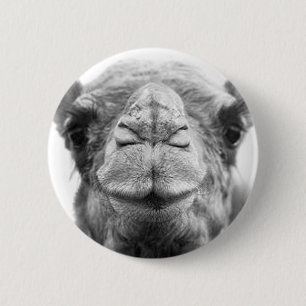 Badge Rond 5 Cm Le chameau embrasse la photo de plan rapproché