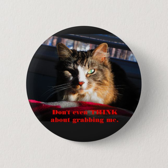 Badge Rond 5 Cm Le chat ne pensent pas même à me saisir (Devant)