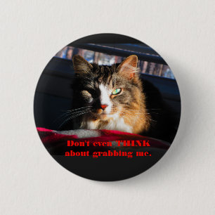 Badge Rond 5 Cm Le chat ne pensent pas même à me saisir