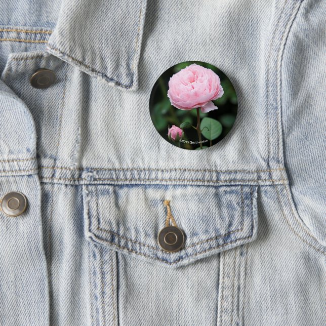 Badge Rond 5 Cm Le château d'Alnwick s'est levé (En situation)