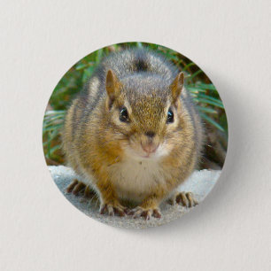 Badge Rond 5 Cm Le Cute Chipmunk A L'Oeil Sur Vous