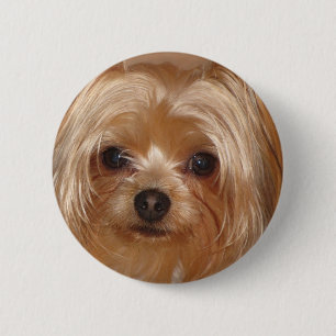 Badge Rond 5 Cm Le fond de Yorkie