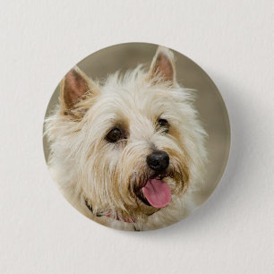 Badge Rond 5 Cm Le gingembre sourit goupille