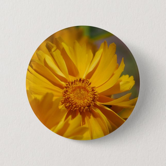 Badge Rond 5 Cm Le joli Coreopsis fleurit le bouton (Devant)