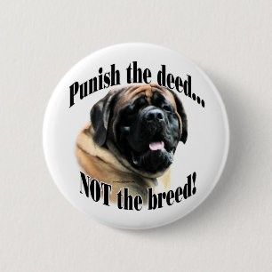 Badge Rond 5 Cm Le mastiff d'abricot punissent le bouton de