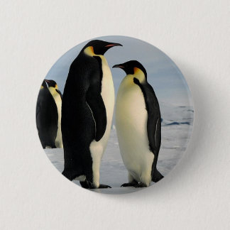 Badge Rond 5 Cm le pingouin-dunette-de-externe-espace