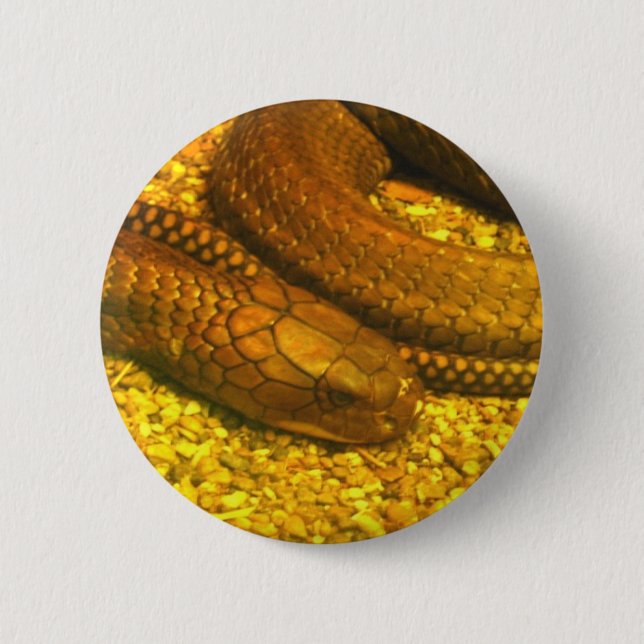 Badge Rond 5 Cm Le Roi cobra (Devant)