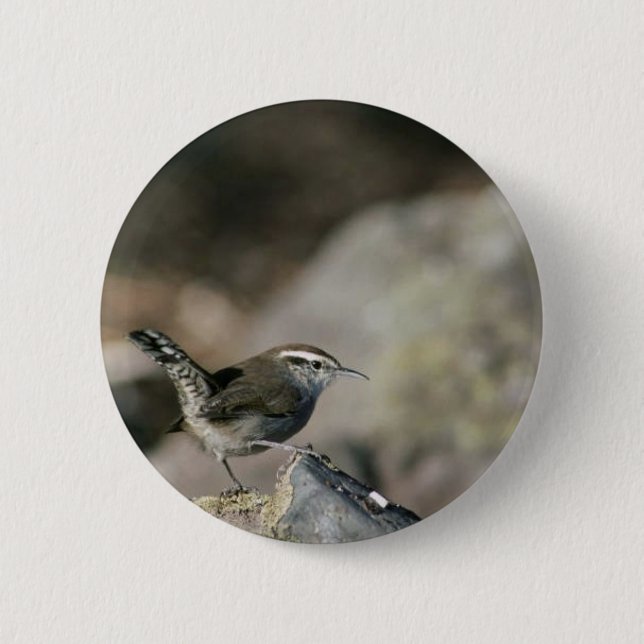 Badge Rond 5 Cm Le roitelet de Bewick (Devant)