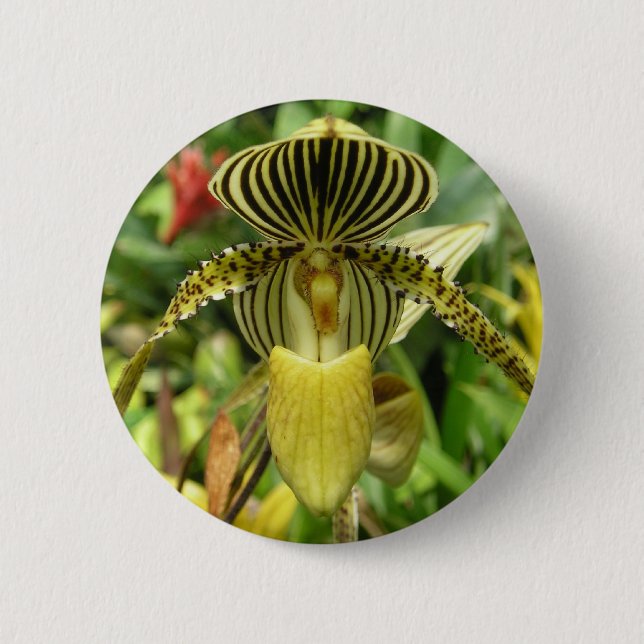 Badge Rond 5 Cm Le zèbre jaune barre l'orchidée (Devant)
