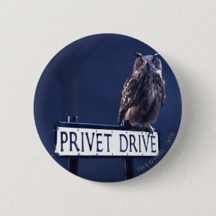 Badge Rond 5 Cm Lecteur privé