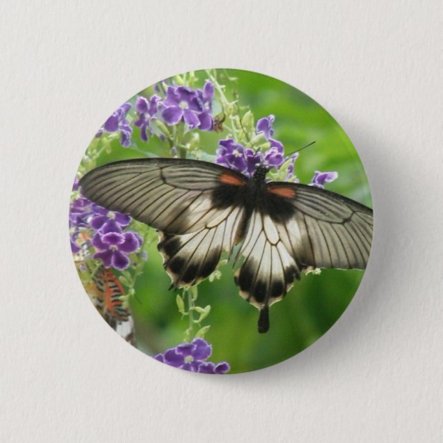 Badge Rond 5 Cm Légende de bouton de papillons (Devant)