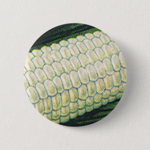 Badge Rond 5 Cm Légumes alimentaires vintage Maïs blanc en épi