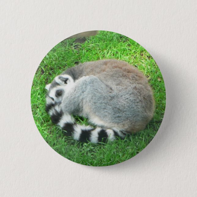 Badge Rond 5 Cm Lémur de sommeil sur l'herbe (Devant)