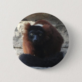 Badge Rond 5 Cm Lémur rouge de Ruffed