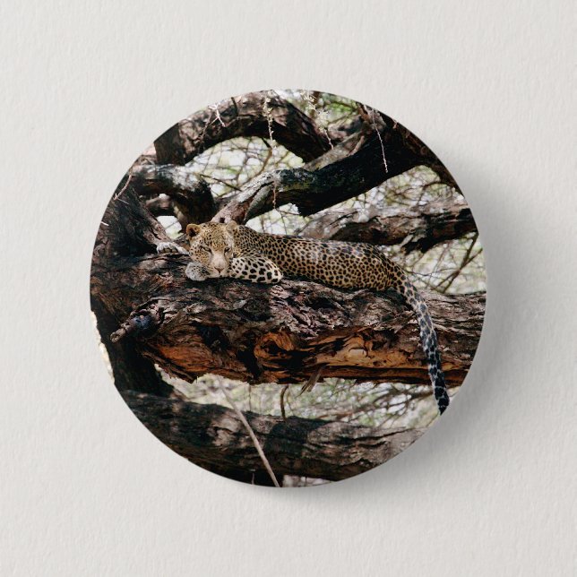 Badge Rond 5 Cm Leopard (Devant)