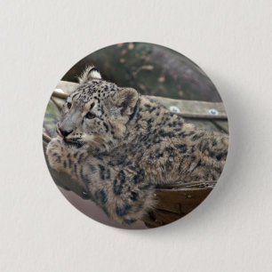 Badge Rond 5 Cm Léopard des neiges