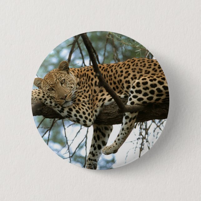Badge Rond 5 Cm Léopard posé dans l'arbre (Devant)