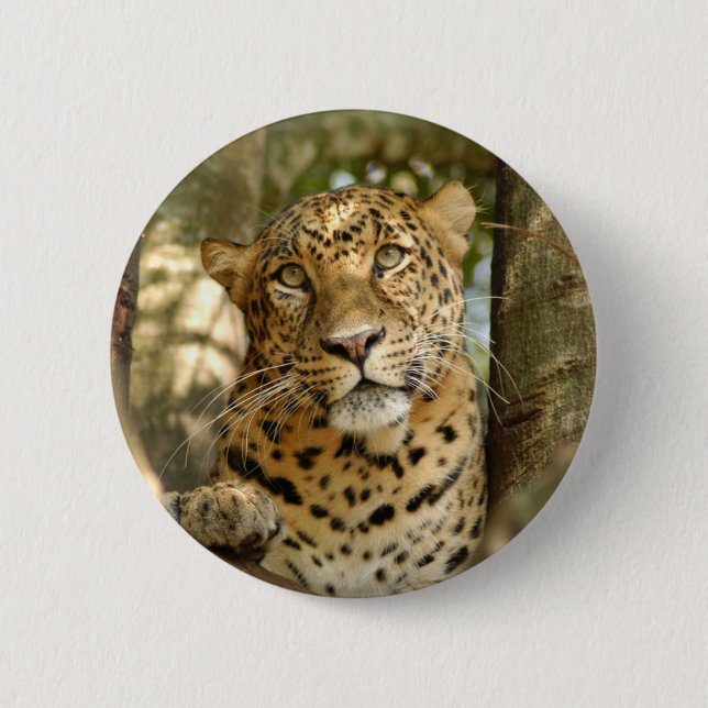 Badge Rond 5 Cm LeopardCheetaro013 (Devant)