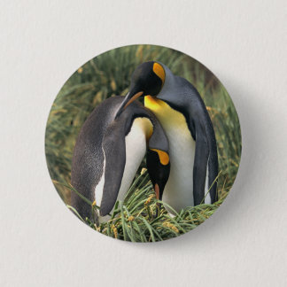 Badge Rond 5 Cm Les amoureux des pingouins