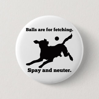 Badge Rond 5 Cm Les Boules Sont Pour La Récupération