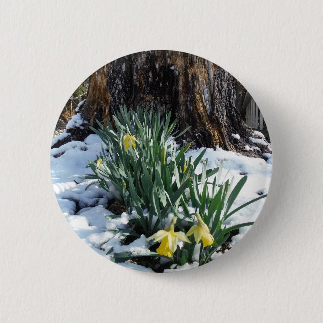 Badge Rond 5 Cm Les jonquilles jaunes dans la neige (Devant)