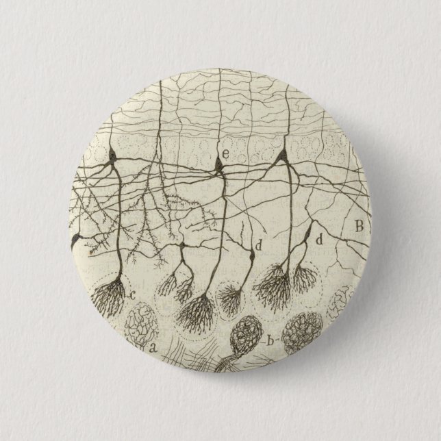 Badge Rond 5 Cm Les neurones 8 de Cajal (Devant)