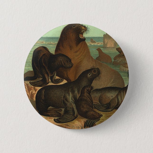 Badge Rond 5 Cm Les Otaries sur la Plage, Animaux de la Vie Marine (Devant)