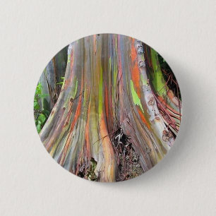 Badge Rond 5 Cm Les produits d'arbre d'eucalyptus d'arc-en-ciel