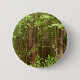 Badge Rond 5 Cm Les séquoias au monument national de Muir Woods