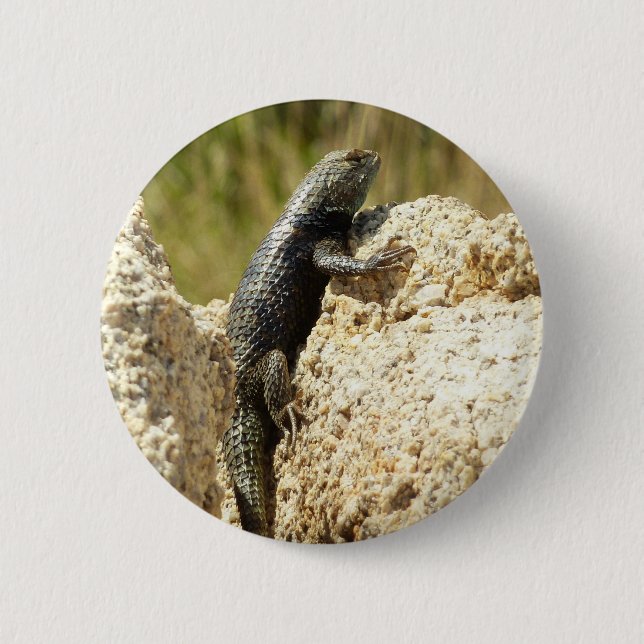 Badge Rond 5 Cm Lézard épineux à dos jaune à Joshua Tree (Devant)